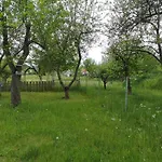 Im Vogelhaus Mit Dachterasse Und Grossem Garten
