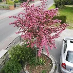 Im Vogelhaus Mit Dachterasse Und Grossem Garten * Calau