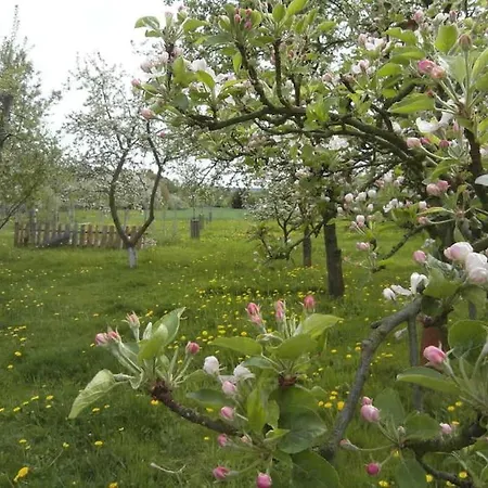 Im Vogelhaus Mit Dachterasse Und Grossem Garten