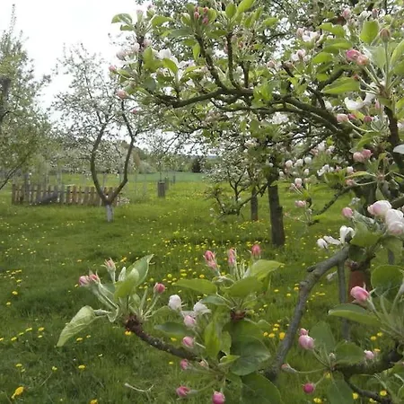 Im Vogelhaus Mit Dachterasse Und Grossem Garten