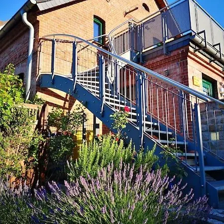 Im Vogelhaus Mit Dachterasse Und Grossem Garten Calau