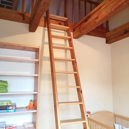 Apartment Im Vogelhaus Mit Dachterasse Und Grossem Garten