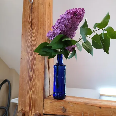 Im Vogelhaus Mit Dachterasse Und Grossem Garten * Calau