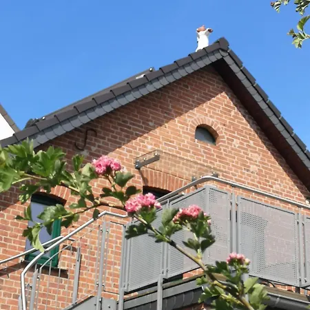 Im Vogelhaus Mit Dachterasse Und Grossem Garten *