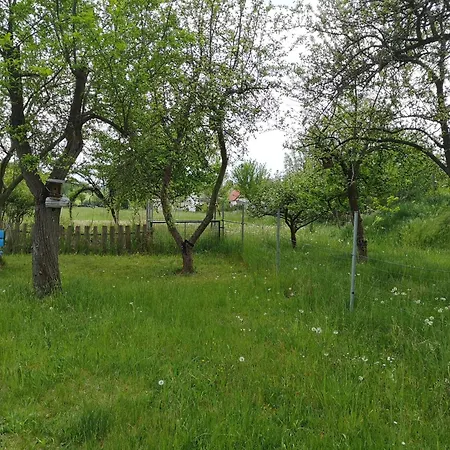 Im Vogelhaus Mit Dachterasse Und Grossem Garten