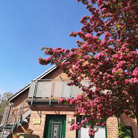 Apartment Im Vogelhaus Mit Dachterasse Und Grossem Garten *