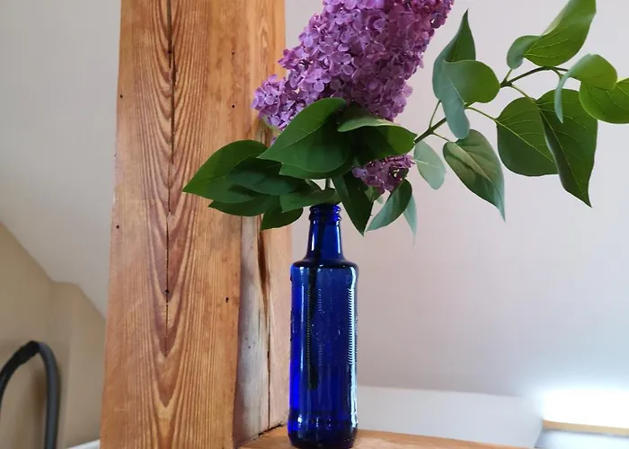 Im Vogelhaus Mit Dachterasse Und Grossem Garten * Calau