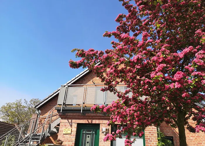Apartamento Im Vogelhaus Mit Dachterasse Und Grossem Garten *