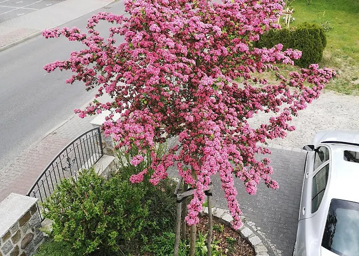 Im Vogelhaus Mit Dachterasse Und Grossem Garten * Calau